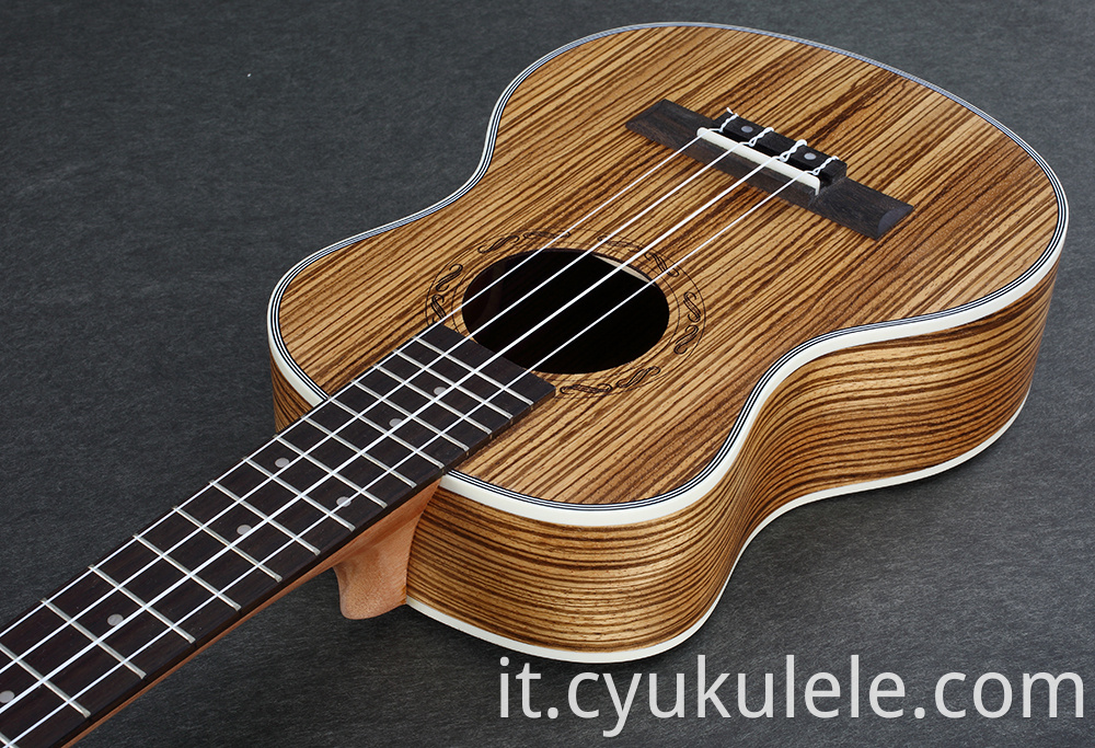 ukulele14